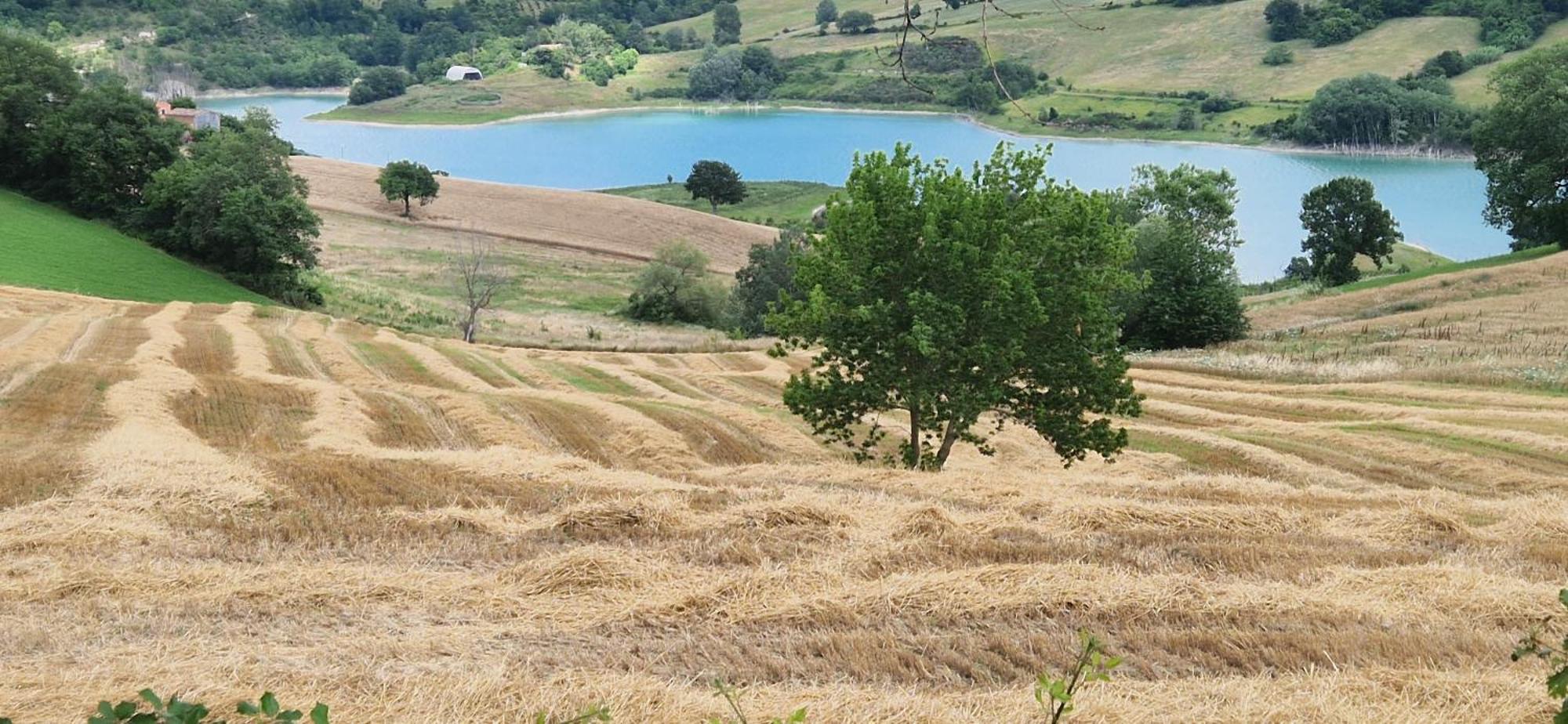 Agriturismo La Corte Sul Lago Cingoli Exterior foto