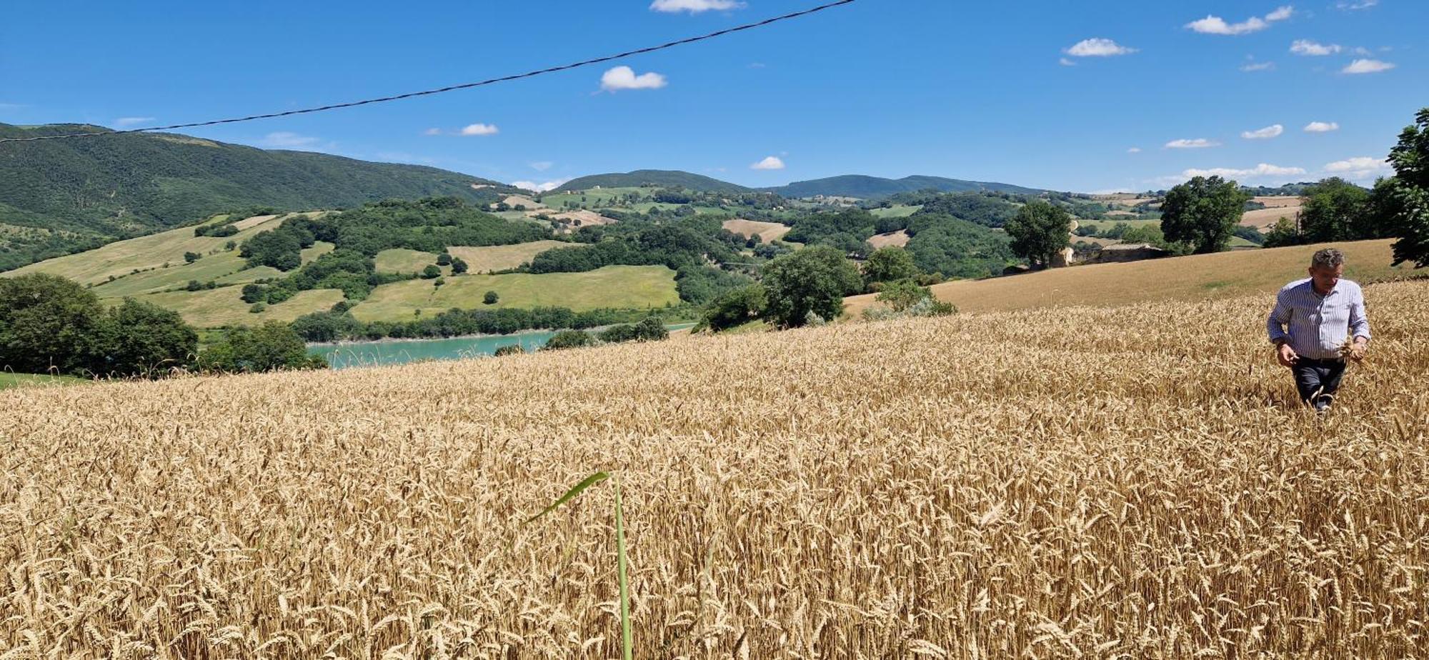 Agriturismo La Corte Sul Lago Cingoli Exterior foto